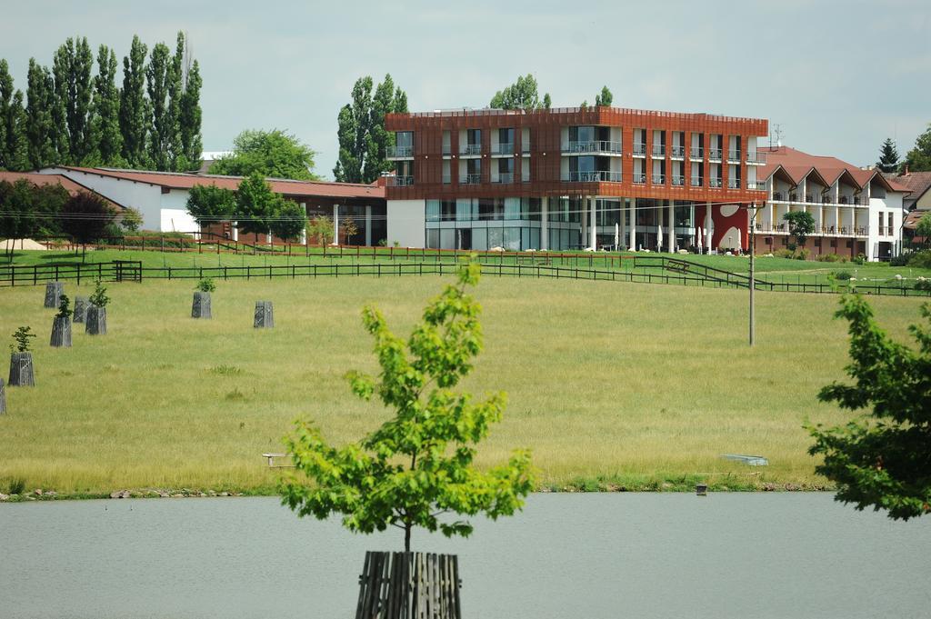 K-Triumf Resort Velichovky Exterior photo